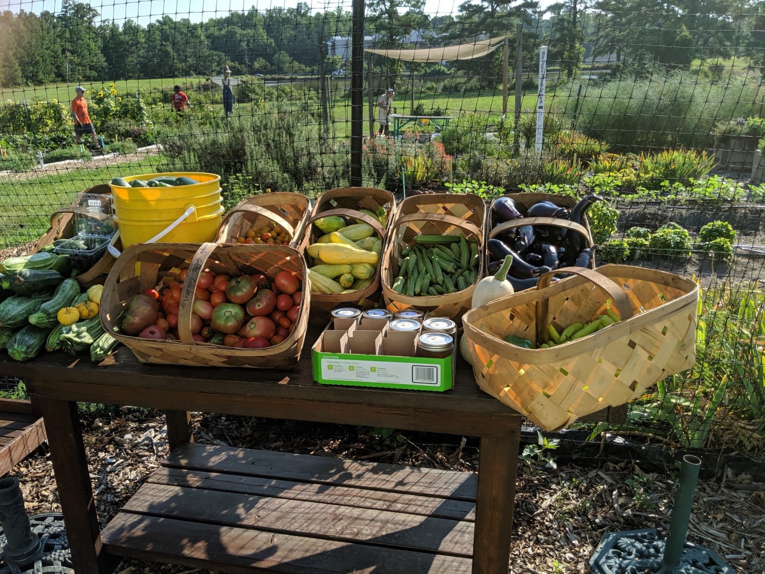 Apex Community Garden Faces Uncertain Future - Cary Magazine