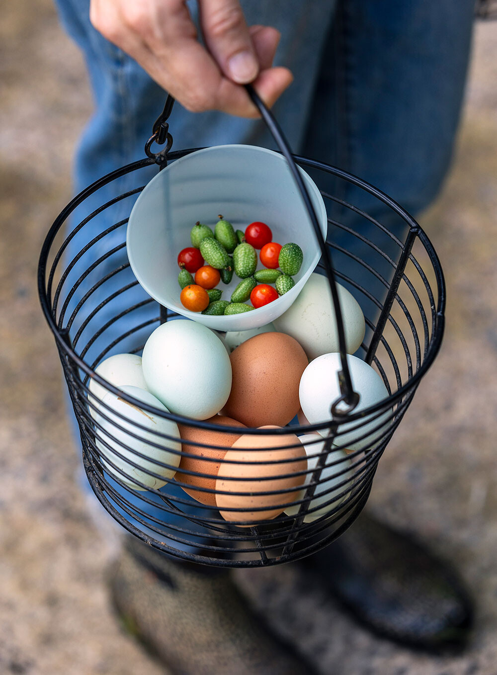 2023 New Chicken Egg Holder, Small Wire Egg Collecting Basket With