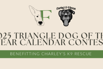 2025 Triangle Dog Of The Year Calendar Contest